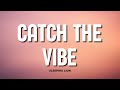 Sleeping Lion Catch The Vibe Lyrics mp3
