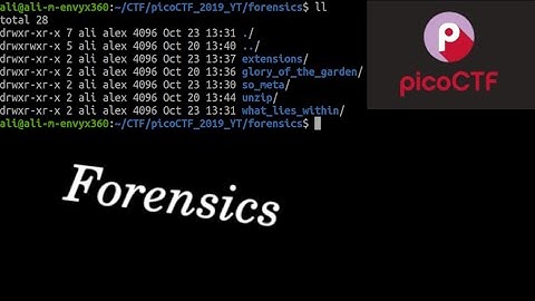 picoCTF 2019 [4] | Forensics!