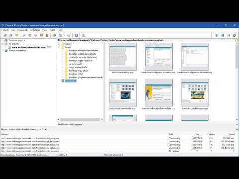Download all images from website with Extreme Picture Finder
