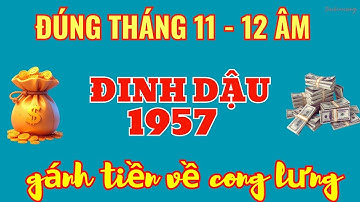 Tháng 11 - 12 Âm: Đinh Dậu 1957 đã LÀM GÌ để TIỀN VỀ BỨT PHÁ? Tiết lộ bí mật!