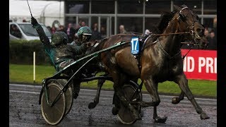 Maharajah (Örjan Kihlstrom) - Prix d'Amérique 2014 (svenska kommentator) HD