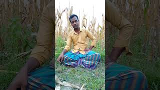 আমার সোনার ময়না পাখি #folksong #Cover#BanglaMusic#SongCover#BanglaSongCover#ReelMusic#MusicalReels