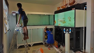 ฺBenz คลอง 5 - O4FS ตู้ปลา 84 30 30 กรอง 60" พร้อมอุปกรณ์ + งานล้าง + ลงปลาวันเดียวจบ Set 2