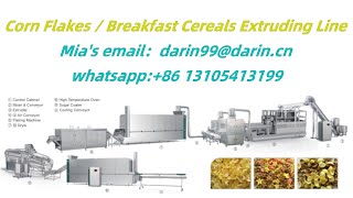 320Kgh Corn Flakes Extruding Line Running In Our Factory - Darin Machine