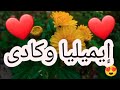 أغنية أسم إيميليا وكادى إيميليا وكادى إيميليا كادى اغاني اغنية اسمك بأغنية