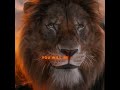 Mufasa Betrayed Scar Mufasa The Lion King Mufasa Thelionking Lion Taka Disney Brother Edit Mufasa Betrayed Scar Mufasa The Lion King Mufasa Thelionking Lion Taka Disney Brother Edit