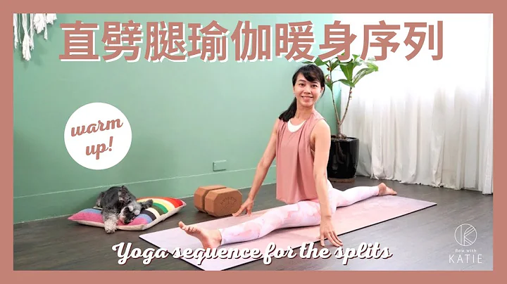 直劈腿瑜伽暖身序列 Yoga sequence for the splits { Flow with Katie } - 天天要聞