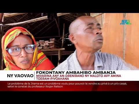 VAOVAO MBS ALAROBIA 7 FEBROARY 2024