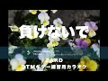 ZARDさんの 負けないで DTMギター練習用カラオケ ZARDさんの 負けないで DTMギター練習用カラオケ