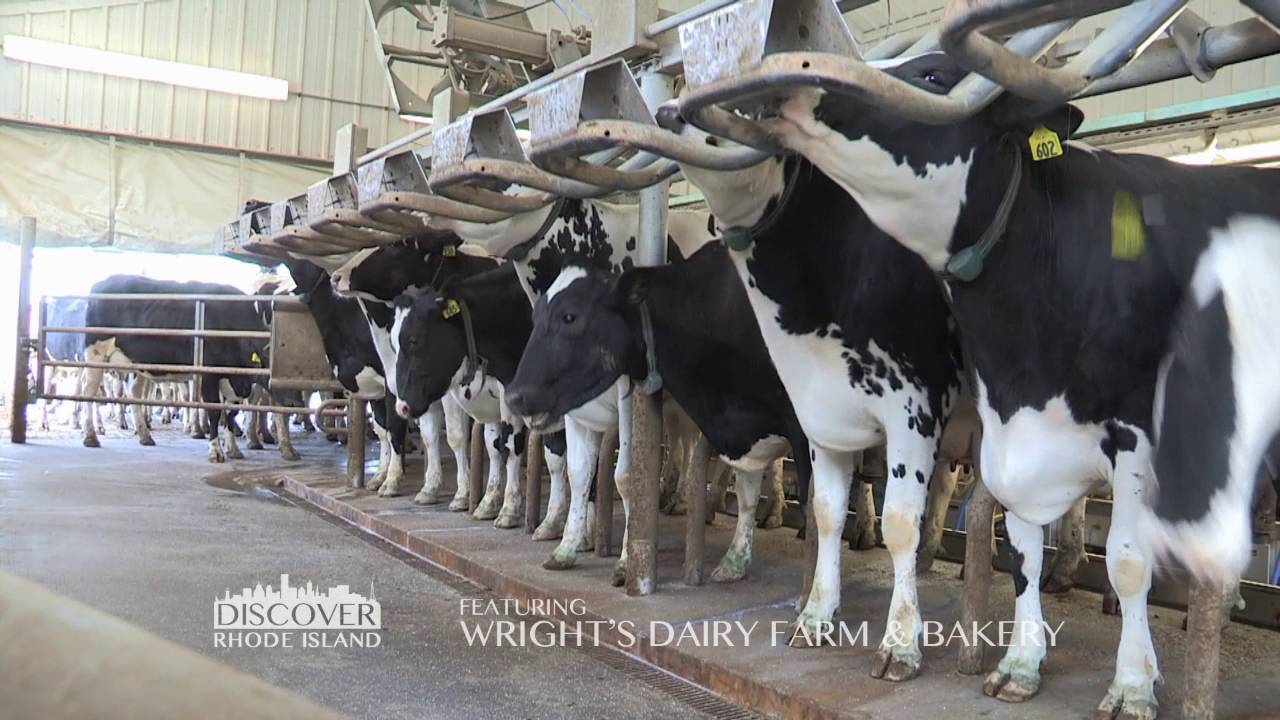 Wright's dairy farm: BusinessHAB.com
