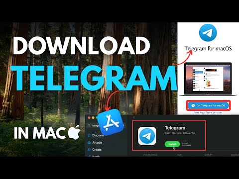 How to Download Telegram on MacBook Easy 2 Ways Explained