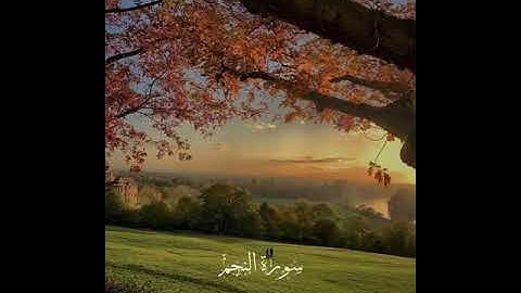 تلاوة رائعة للقارئ احمد النفيس برواية خلف عن حمزة |سورة الحجرات-النجم-الانسان