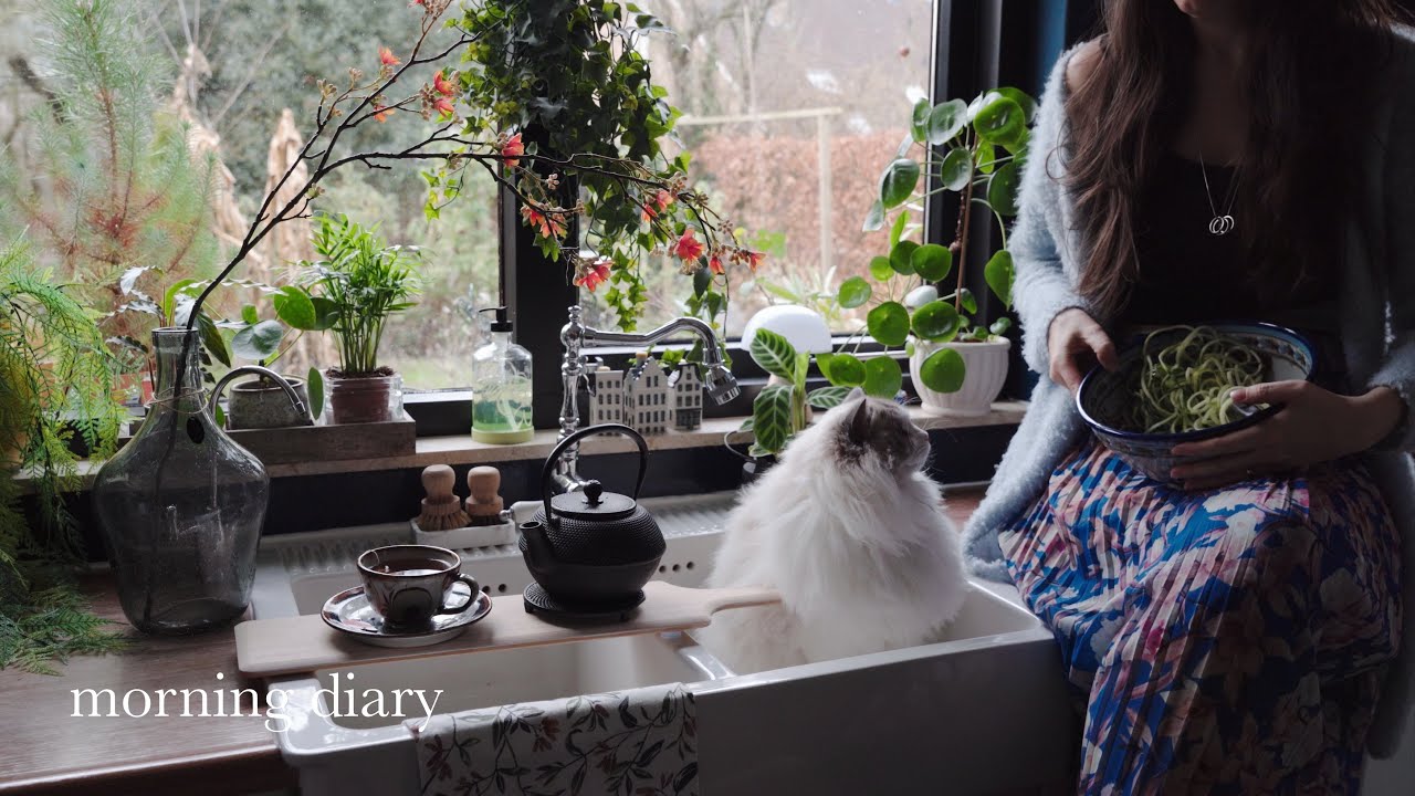 Утренний дневник🪴 Завтрак, тост с авокадо и омлетом, домашний хумус и здоровый радужный салат 🌈.