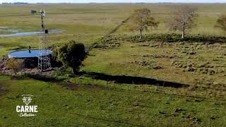 This is our Farm in Tapalque, Buenos Aires