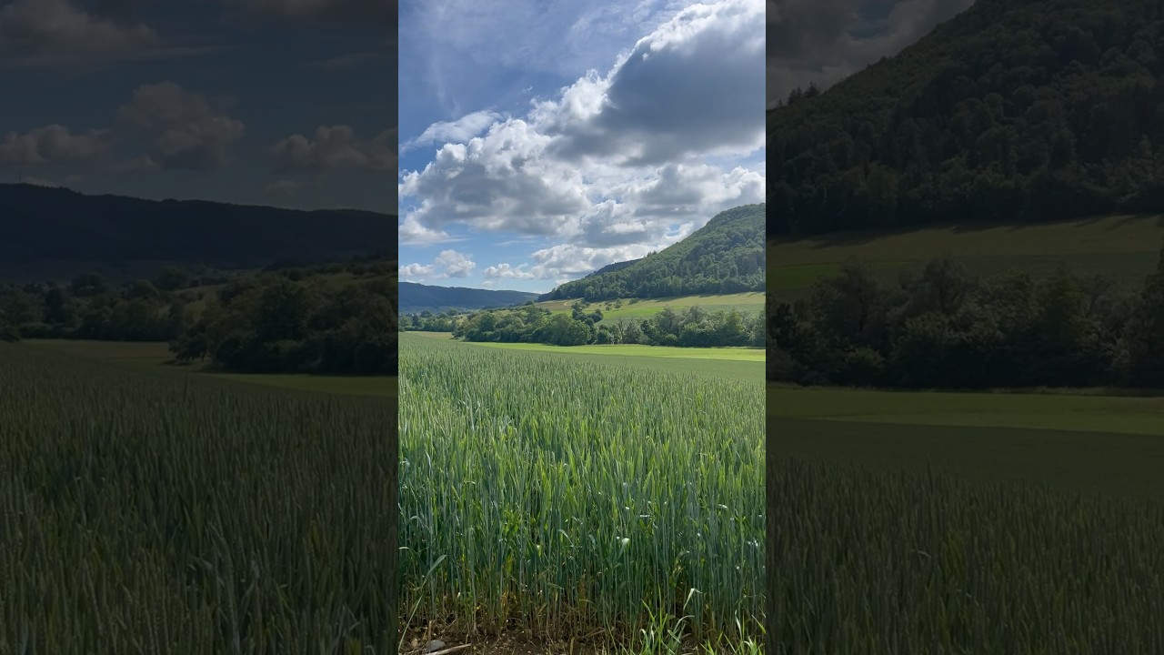 Wittnau, Aargau, Switzerland 🇨🇭