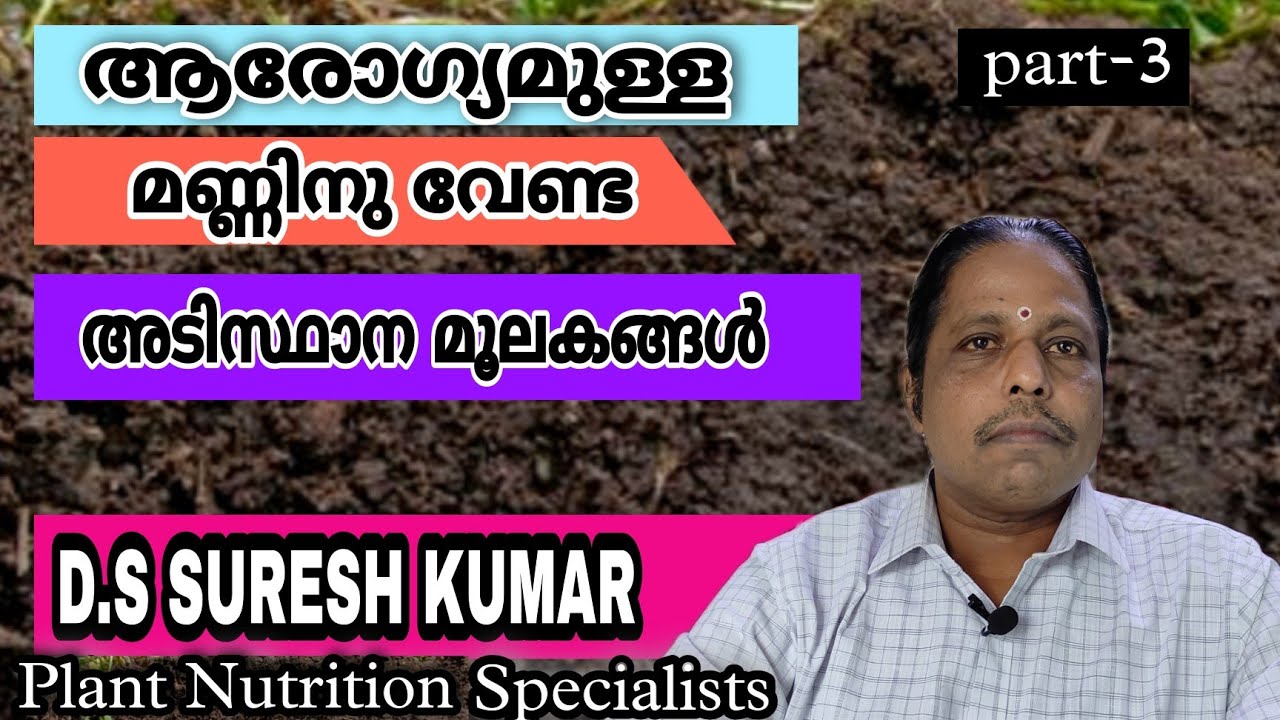 നല്ല വിളവ് ലഭിക്കാൻ മണ്ണിനെ സമ്പുഷ്ടമാക്കി മാറ്റാൻ എന്തൊക്കെ ശ്രദ്ധിക്കണ൦ | ORGANIC FARMING