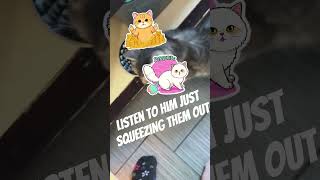 Whos Socks Are Those.