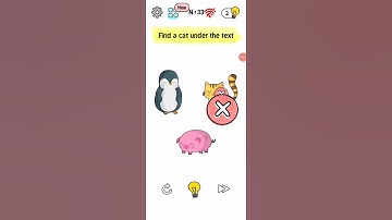 Busy Brain Inside out Puzzle Level 33