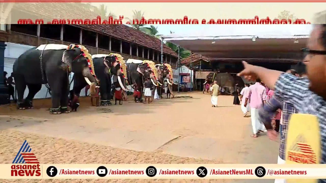 3 മീ. അകലത്തിൽ 15 ആനകൾ; ആന എഴുന്നള്ളിപ്പിന് പൂർണത്രയീശ ക്ഷേത്രത്തിൽ ഒരുക്കം | Poornathrayeesa Temple