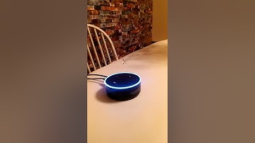 We love Alexa as she orders Dominos