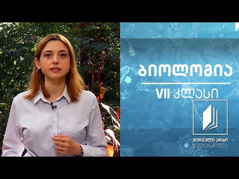 ბიოლოგია, VII კლასი - გამადიდებელი ხელსაწყოები; მიკროპრეპარატების მომზადება, განხილვა #ტელესკოლა