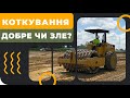 Коткування - добре чи зле? [GrowEx]