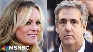 ‘Catastrophic... horrible for the campaign’: Michael Cohen testifies about Stormy Daniels’ story