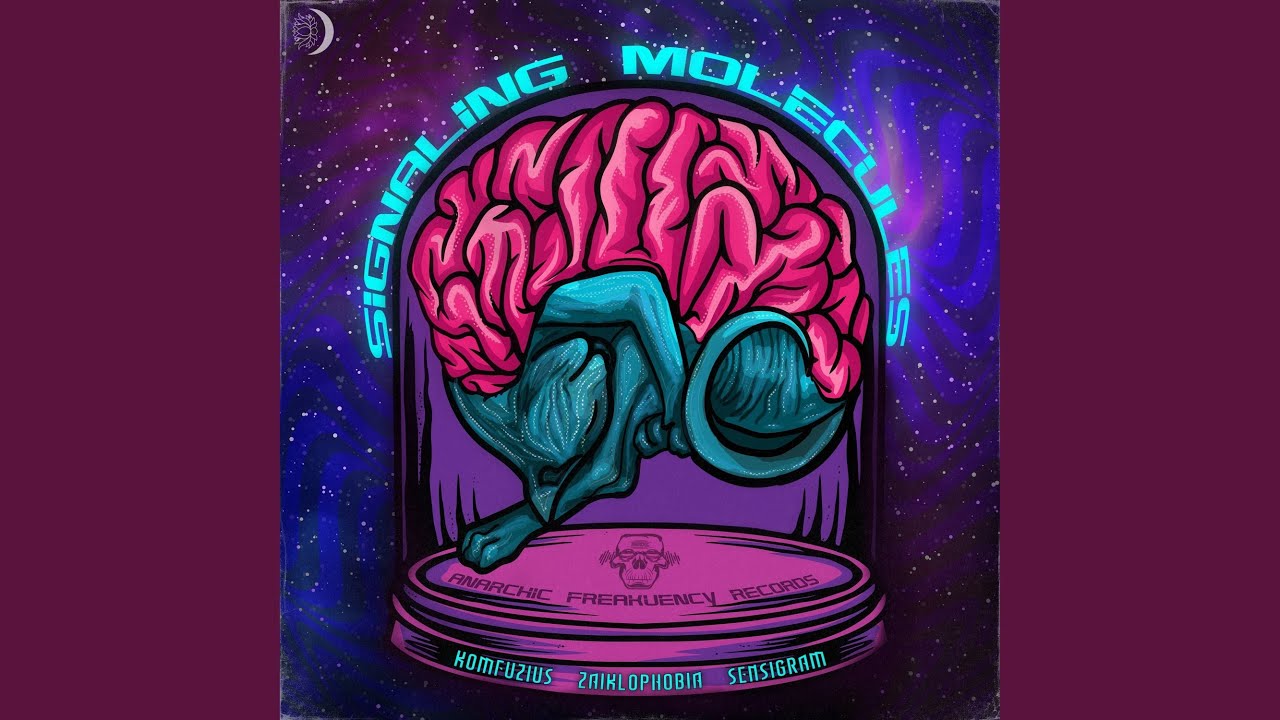 Watch Amygdala on YouTube Watch Amygdala on YouTube