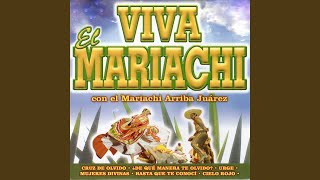 Hasta Que Te Conocí - Juan Michel, Mariachi Arriba Juárez