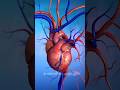 இதய பாதுகாப்பு #shorts #trending #heart