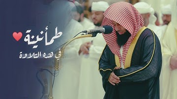 سورة المطففين تلاوة مميزة من صلاة المغرب للشيخ أنس العمادي | 20 جمادى الأولى 1446 هـ