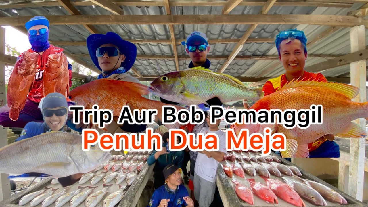 Lutut Cedera Tak Terasa Sakit Bila Strike Ikan Tanpa Henti /Trip Aur Bersama Tekong Bob Pemanggil