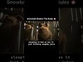 Snowball Breaks The Rules 🚫 Animal Farm. Seth Rogan. Glenn Close. in theaters May 1 #shorts