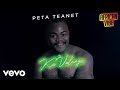 Peta teanet  african vibe pt 2 visualizer