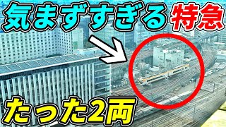 【勇者】大ターミナルにたった2両で乗り込む特急が強すぎるwww