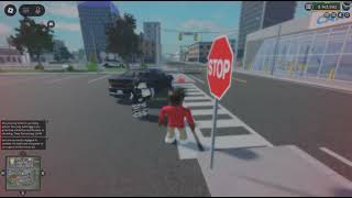 Roblox_20260804200544