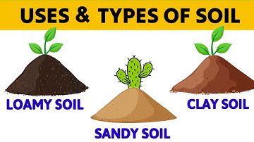 SOIL | What is Soil? | Types of Soil | Uses of Soil | Loamy soil | Clay Soil | Sandy SOIL | #Soil
