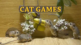 Mouse Mania : Cat Entertainment Spectacle - Mouse Hide and Seek For Cats To Watch & Enjoy by Palm Squirrels Studio 3,092 views 5 months ago 10 hours