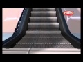 How does an Escalator Work | How Stuff Works | How Devices Work in 3D | Science For Kids