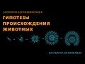 Гипотезы происхождения животных. Зоология беспозвоночных - 5