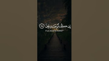 سورة السجدة | الآية ٢٨ تلاوة عبد الرحمن مسعد