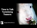 Time to Talk Tantalizing Teasers