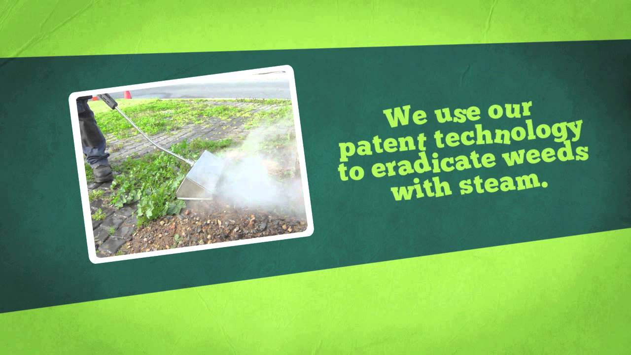 Welcome To Organic Weed Control