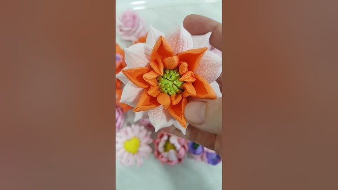 Osiyo porno yulduzlar Endryu Bleyk besh yulduzli porno film