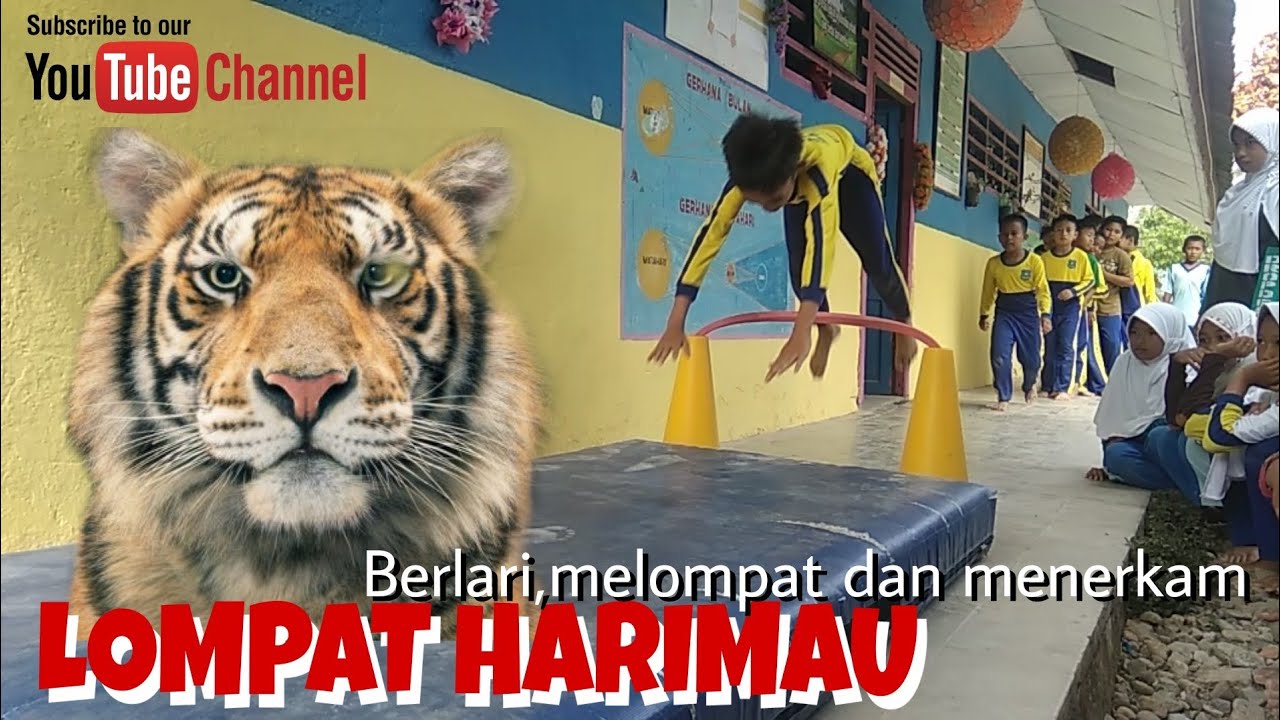 LOMPAT HARIMAU | praktik PJOK sekolah dasar - YouTube