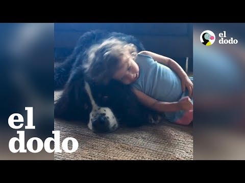 Video: Perros y niños