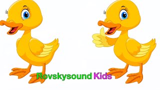 Five Little Ducks - Cinco Patitos - Kids Songs - Lagu Anak Anak + More Nursery Rhymes for Children
