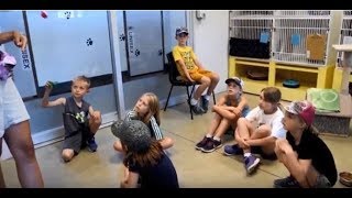 BC SPCA Summer Camp for animal loving kids