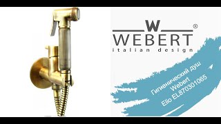 Гигиенический душ со смесителем Webert Elio EL870301065