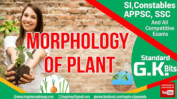 Important Bits On Morphology Of Flowering Plants For SSC,RRB,APPSC,Ets..By Inspire Academy